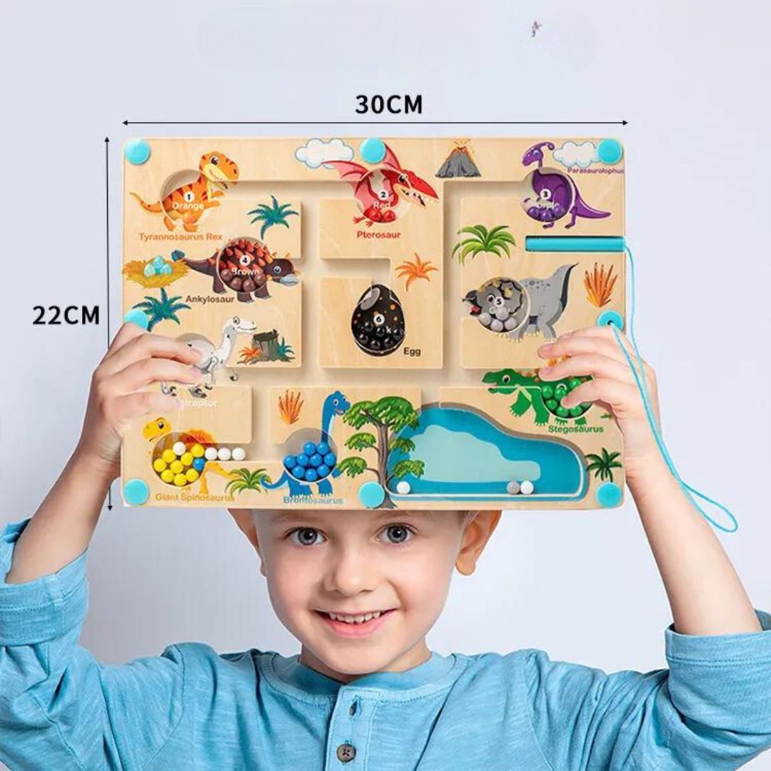 Momi Toys Magnetic Dinosaur Color Maze