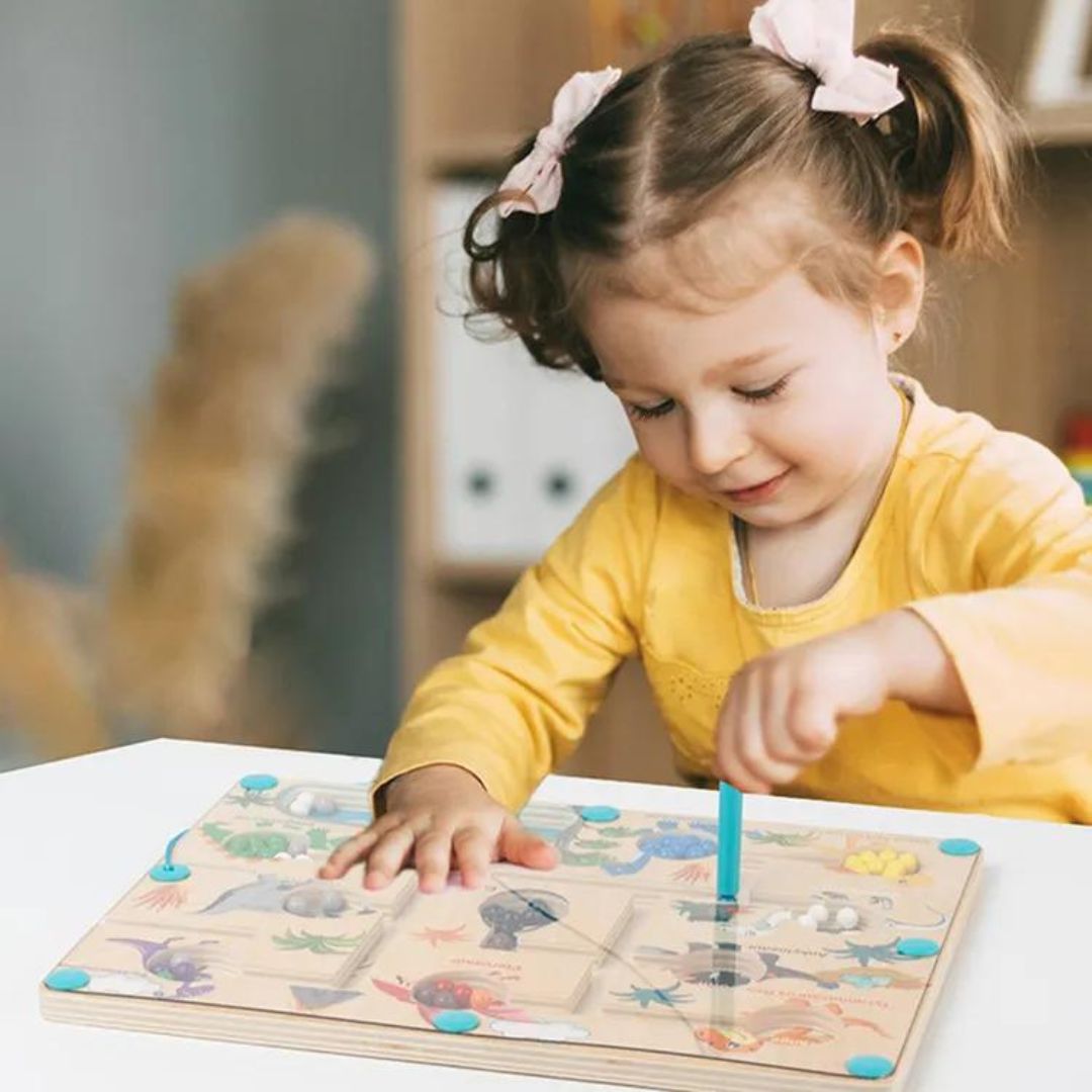 Momi Toys Magnetic Dinosaur Color Maze