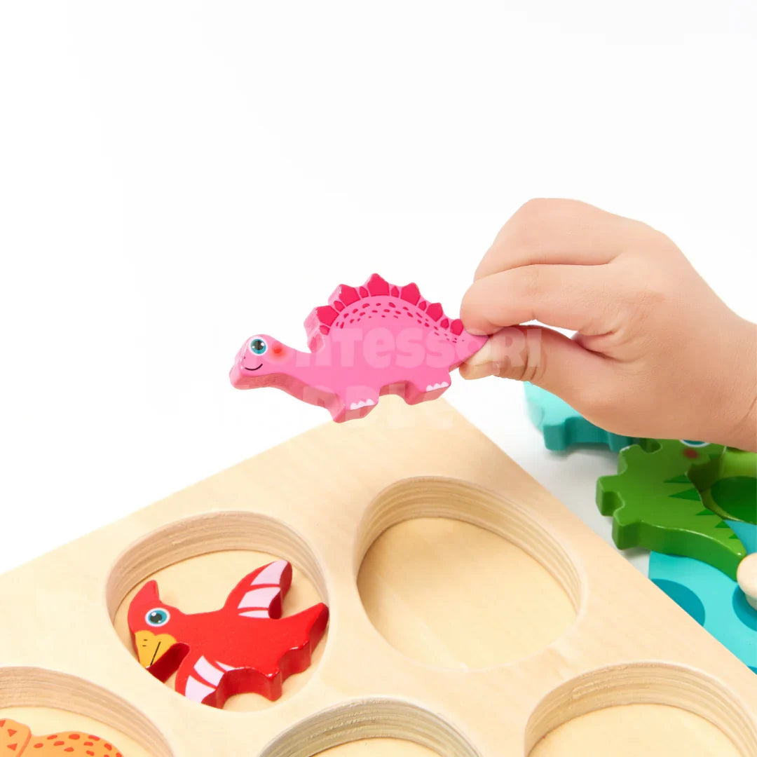 Momi Toys Wooden Dinosaur Egg Matching Puzzle