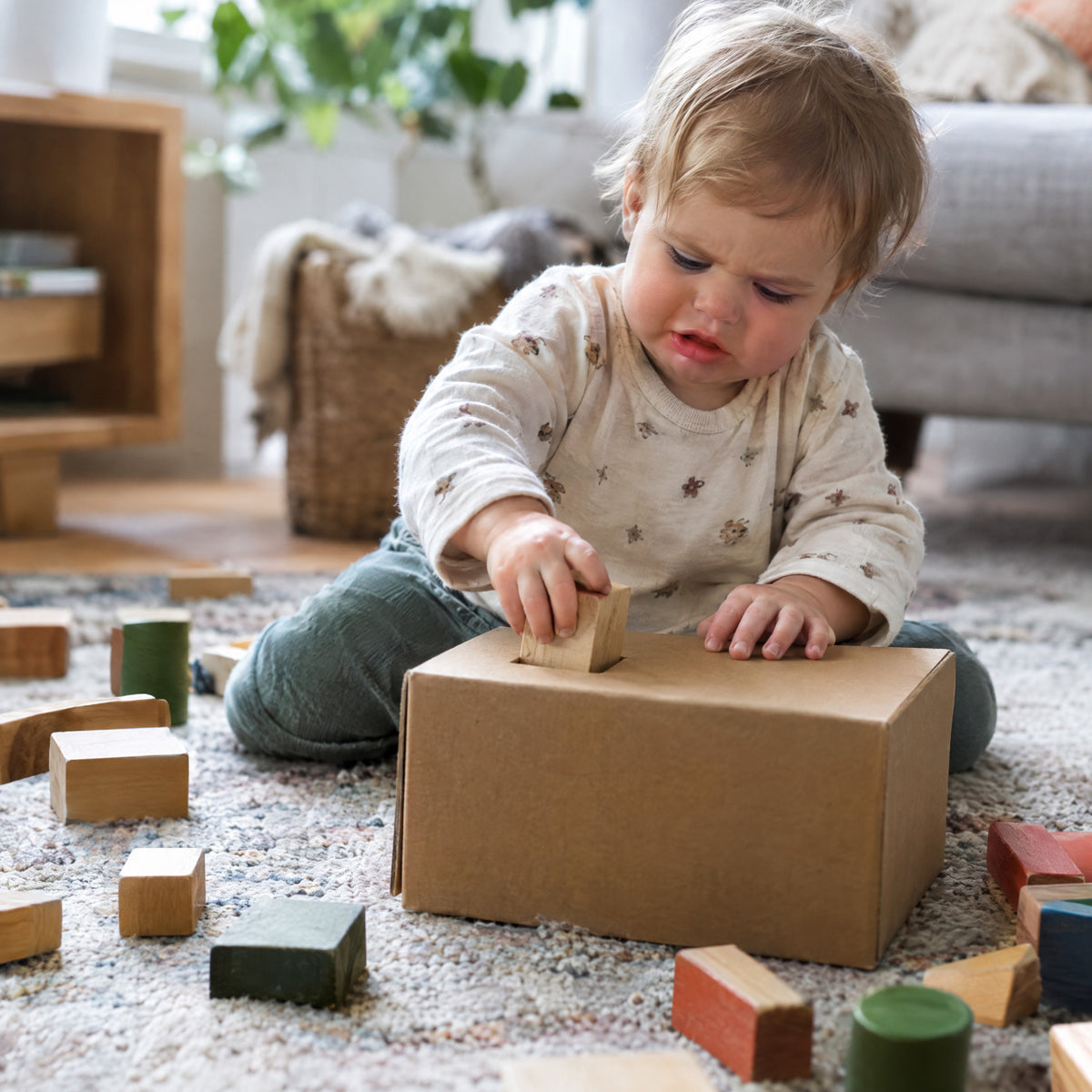 Wooden Shape Sorter Cube, before: Cardboard box