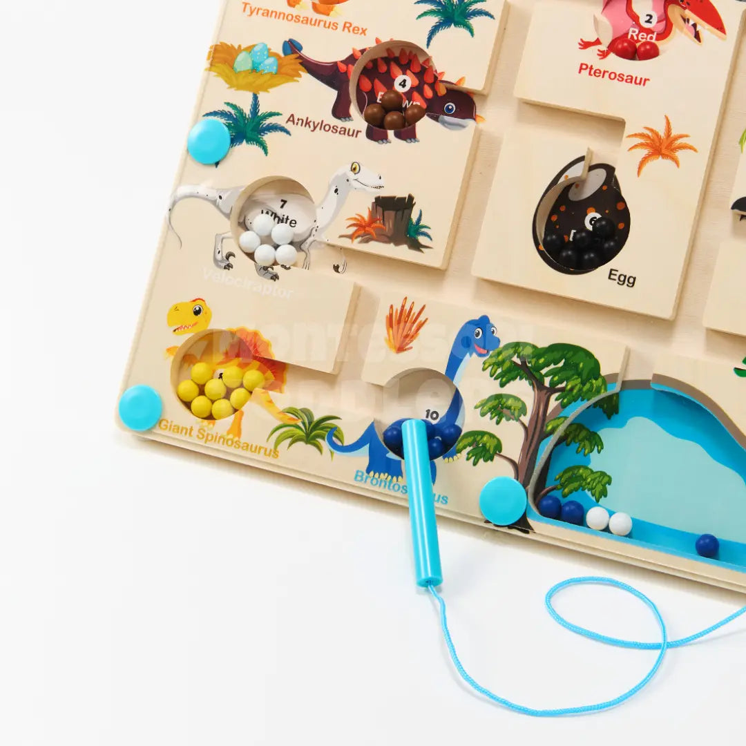 Momi Toys Magnetic Dinosaur Color Maze