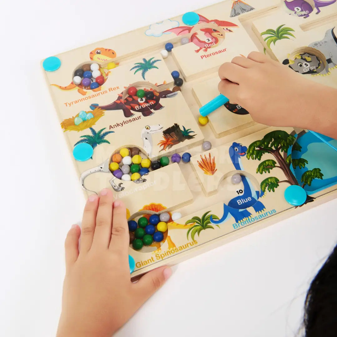 Momi Toys Magnetic Dinosaur Color Maze