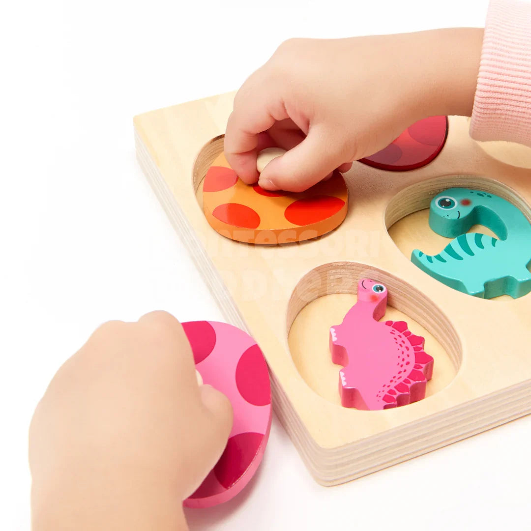 Momi Toys Wooden Dinosaur Egg Matching Puzzle